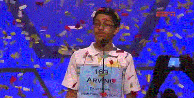 giphy (7)